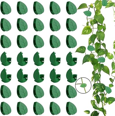 Homarket 100pcs clips muraux pour plantes grimpantes de jardin, clips autocollants invisibles pour plantes grimpantes, clip de support mural pour soutenir les tiges qui poussent droites, friction des vignes. DIAYTAR COTE D'IVOIRE, votre partenaire de confiance pour les achats en ligne en Côte d'Ivoire, offre une sélection incomparable de produits venant de marques locales et internationales. Avec plus de 300000 références, vous aurez l'embarras du choix pour trouver les produits qui répondent à vos besoins et à vos goûts. Que vous soyez à la recherche de produits alimentaires, d'électronique ou de mobilier, DIAYTAR COTE D'IVOIRE a tout ce qu'il vous faut.
