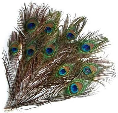 10 pièces de vraies plumes d'oeil de paon naturelles, plumes de queue pour les mariages, les fêtes, les vacances, la décoration de la maison et les superbes travaux manuels de bricolage. DIAYTAR COTE D'IVOIRE est une boutique en ligne généraliste qui propose plus de 300 000 références de produits. Elle est devenue la boutique leader en Côte d'Ivoire en raison de sa large gamme de produits et de sa qualité de service. Elle offre une expérience d'achat en ligne pratique et sécurisée.
