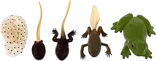 5 pièces cycle de vie de l'œuf de grenouille, têtard à grenouille, figurines d'animaux, jouet, croissance animale, modèle de cycle de vie, jouets d'apprentissage précoce pour enfants. Avec plus de 300000 références, DIAYTAR COTE D'IVOIRE est la boutique en ligne idéale pour trouver tout ce dont vous avez besoin. De l'électronique à la mode, en passant par les produits pour la maison et les loisirs, vous trouverez tout sur ce site. La boutique propose également des offres spéciales et des promotions régulières.