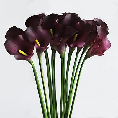 Calla lilly artificielle de 26 pouces de long, calla lilly en latex au toucher réel, fleur artificielle pour mariage au bureau à domicile (5 pièces, violet foncé). DIAYTAR COTE D'IVOIRE est une boutique en ligne généraliste qui propose plus de 300 000 références de produits. Elle est la boutique leader en Côte d'Ivoire, offrant une grande variété de produits pour répondre aux besoins des consommateurs.