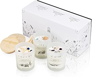 Ensemble de 3 bougies en cristal firefly avec couvercles en bois et fleurs séchées | bougies cadeaux pour femmes | bougies de qualité supérieure de 3,5 oz avec cristaux à l'intérieur | bougies de luxe en cire de soja parfumées. DIAYTAR COTE D'IVOIRE, la boutique en ligne de confiance, propose une expérience de shopping unique et pratique. Avec plus de 300 000 références, vous pouvez choisir parmi une large gamme de produits pour vous et vos proches. La boutique en ligne généraliste vous offre la possibilité de faire des achats en toute sécurité et rapidité.