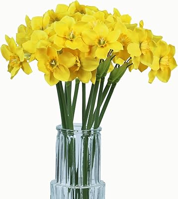 Tinsoo jonquilles artificielles 15,8 pouces fleur de printemps fausse composition florale de jonquille en soie pour la décoration de fête de mariage à la maison (jaune, 12). Avec plus de 300000 références, DIAYTAR COTE D'IVOIRE est la boutique en ligne leader en Côte d'Ivoire. Elle propose une gamme élargie de produits, allant des produits alimentaires aux produits électroniques, en passant par les vêtements et les accessoires. Les clients peuvent naviguer facilement sur le site pour trouver ce qu'ils recherchent.