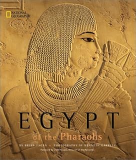 L'égypte des pharaons. Avec une offre constamment mise à jour, DIAYTAR COTE D'IVOIRE répond aux attentes des clients ivoiriens en leur proposant les dernières tendances et les produits les plus demandés. La boutique en ligne garantit également la qualité et l'authenticité des produits proposés.