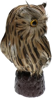 1 x plume d'oiseau hibou artificielle décoration de jardin ultra réaliste. DIAYTAR COTE D'IVOIRE est une boutique en ligne généraliste qui répond aux besoins de tous les consommateurs. Avec plus de 300 000 références de produits, elle est la plus grande boutique en ligne de Côte d'Ivoire. La boutique propose une expérience d'achat agréable et sécurisée, avec des options de paiement variées et un service client efficace.