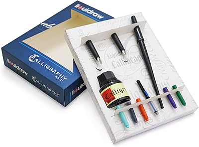 Ensemble de stylos de calligraphie à rangée liquide avec encre noire pour main