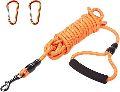 Laisse de dressage pour chien de 15 pieds, longue laisse flottante en nylon