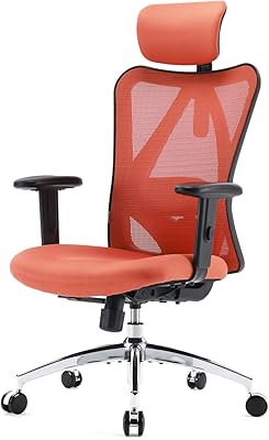 Chaise de bureau ergonomique sihu avec appui-tête réglable et support lombaire, chaise pivotante