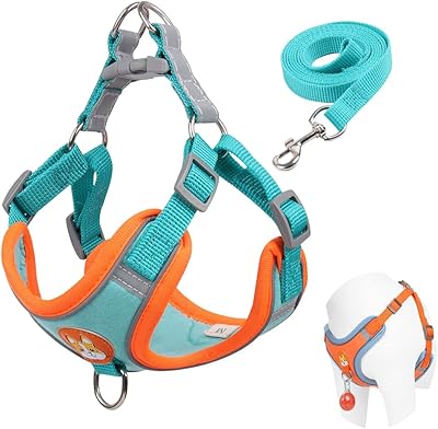 Harnais pour chien beauty no pull pour petits chiens harnais réglable avec 2