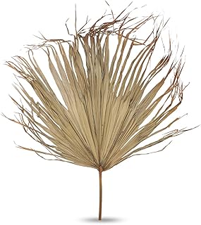 2 morceaux de feuilles de palmier séchées naturelles yatai, ornements de vacances, fleurs