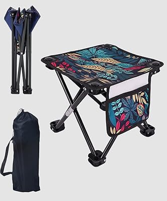 Chaise de camping pliante portable - chaise de pêche pliante légère - petite