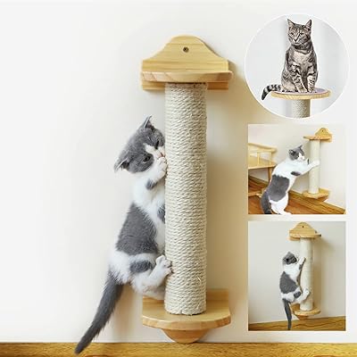 Griffoir mural pour chat, corde en sisal pour petits chats et animaux