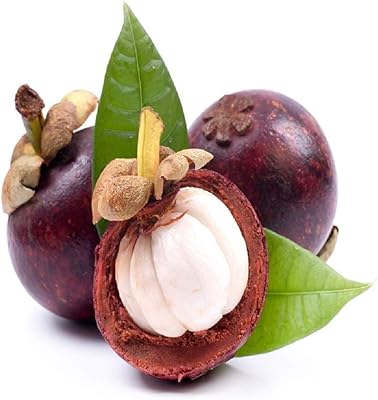 Marché sur roues mangoustan frais thaïlande, 500g légumes-fruits classe 1. DIAYTAR COTE D'IVOIRE est une boutique en ligne généraliste proposant plus de 300 000 références, ce qui en fait l'une des plus grandes plateformes de commerce en ligne de Côte d'Ivoire. La boutique offre une large gamme de produits, allant de l'électronique aux vêtements, en passant par les produits alimentaires. Elle est reconnue pour sa qualité de service et sa livraison rapide.