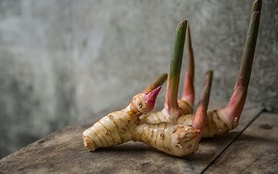 Grand galanga (alpinia nigra) | gingembre thaïlandais | 15 graines fraîches | expédition le jour même. En tant que boutique en ligne généraliste, DIAYTAR COTE D'IVOIRE propose une large sélection de produits allant des électroménagers aux vêtements, en passant par les produits cosmétiques et les accessoires. Les clients peuvent profiter d'une expérience d'achat en ligne sécurisée et fiable, avec des options de paiement flexibles et des délais de livraison rapides. Cela en fait une destination idéale pour les acheteurs ivoriens.