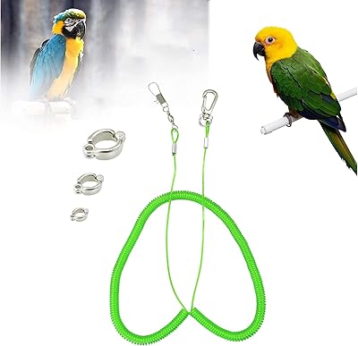 Corde volante pour perroquet, ceinture d'entraînement anti-morsure pour oiseaux, corde d'entraînement volante