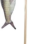 Canne à pêche amy cat taille 40cm