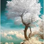 5d bricolage diamant peinture plage arbre paysage point de croix décoration de la maison