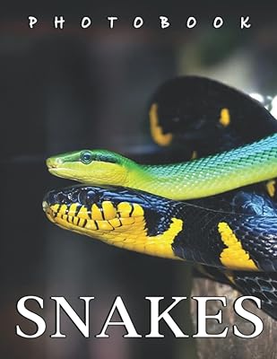 La photo de serpents : un album composé d'une collection de photos convaincantes de serpents avec des images de haute qualité comme cadeau spécial pour les amis, la famille, les amoureux, les proches. DIAYTAR COTE D'IVOIRE est une boutique en ligne généraliste qui propose plus de 300 000 références de produits pour répondre à tous les besoins de sa clientèle. La boutique est leader en Côte d'Ivoire et offre une expérience d'achat en ligne sécurisée et fiable. Les clients peuvent profiter d'une grande variété de produits à des prix compétitifs.