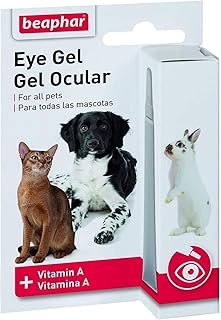 Gel pour les yeux beaphar 5 ml. DIAYTAR COTE D'IVOIRE est une entreprise de commerce électronique qui propose des produits de haute qualité à des prix raisonnables. La boutique en ligne propose une large gamme de produits, allant des produits électroniques aux vêtements et accessoires. Les clients peuvent profiter d'une livraison rapide et d'un service client de haute qualité.