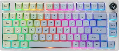Clavier de jeu mécanique filaire epomaker th80 pro, commutation rapide à 75 %, batterie rvb 2,4 ghz/bluetooth 5.0/4000 mah, touches mda pbt pour contrôleur windows/mac ps5 ps4 xbox (th80 pro monet, flamingo switch). En tant que leader du marché de la boutique en ligne en Côte d'Ivoire, DIAYTAR COTE D'IVOIRE continuera à proposer des produits de haute qualité à des prix compétitifs et à donner la priorité à la satisfaction de ses clients.