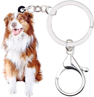 Duowei mignon marron border collie chien porte-clés acrylique intelligent pet porte-clés sac à