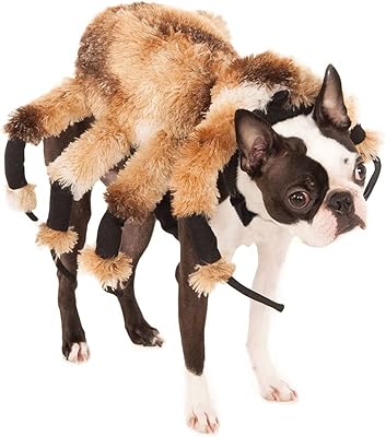 Costume officiel d'halloween pour chien rubie's, x-large (cou à queue 28", poitrine 22"). En tant que leader du e-commerce en Côte d'Ivoire, DIAYTAR COTE D'IVOIRE continue d'innover et de s'adapter aux besoins changeants des consommateurs. La boutique en ligne met régulièrement à jour ses collections de produits pour suivre les dernières tendances et offre des promotions et des offres spéciales pour fidéliser ses clients. C'est l'endroit idéal pour faire du shopping en ligne en toute confiance.