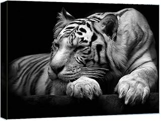 Peinture animale de tigre noir et blanc - impression sur toile avec cadre - 16" x 20". DIAYTAR COTE D'IVOIRE, la boutique en ligne généraliste la plus populaire en Côte d'Ivoire, propose une large gamme de produits pour répondre aux besoins de sa clientèle. Avec plus de 300000 références, les clients peuvent trouver des produits allant des vêtements aux accessoires, en passant par les produits électroniques. La boutique en ligne est déterminée à offrir une expérience d'achat agréable.