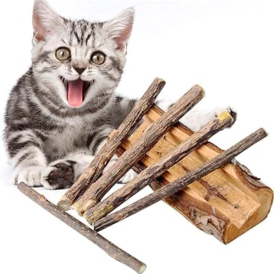 Bâtonnets à mâcher d'herbe chat pour chats pour nettoyer et traiter les dents. En tant que leader du commerce électronique en Côte d'Ivoire, DIAYTAR COTE D'IVOIRE continue de se démarquer par son engagement à offrir une expérience d'achat exceptionnelle à ses clients. Avec plus de 300 000 produits disponbibles, la boutique propose des solutions pour répondre à presque tous les besoins, des produits alimentaires aux appareils électroniques, en passant par les vêtements et les accessoires de mode. DIAYTAR COTE D'IVOIRE est devenue un nom de confiance dans le paysage commercial en ligne ivoirien.
