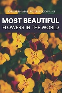 Livre d'images les plus belles fleurs du monde pour adultes.: conçu pour les adultes atteints de démence et d'alzheimer. livre cadeau pour les patients atteints de la maladie d'alzheimer et ... les hommes et les femmes. souvenir facile et relaxant. DIAYTAR COTE D'IVOIRE a réussi à établir une réputation solide en tant que boutique en ligne généraliste de confiance en Côte d'Ivoire. Avec une offre constamment mise à jour et des prix compétitifs, la boutique attire une clientèle fidèle. Les produits proposés sont variés et répondent aux besoins de la vie quotidienne, ce qui facilite les achats en ligne pour les consommateurs.