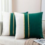 Zelina lot de 2 housses de coussin décoratives en velours vert foncé
