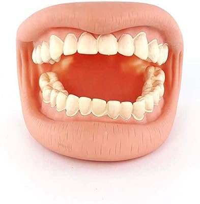 Modèle de dents, modèle d'agrandissement des dents, enseignement aux enfants des soins dentaires standard, étude et placement des dents avec toutes les dents amovibles pour la médecine et étude d'illustration pour enfants. La boutique en ligne Diaytar Côte d'Ivoire est la référence pour les achats en ligne en Côte d'Ivoire, avec plus de 300 000 références disponibles. Les clients peuvent choisir parmi une large gamme de produits de différentes marques et catégories, bénéficiant ainsi d'une grande flexibilité dans leurs choix d'achat.