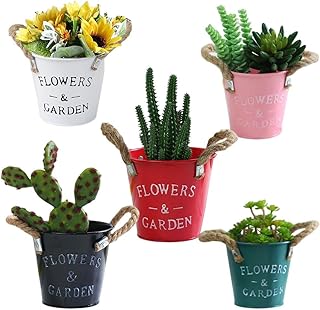 Goodrun lot de 5 pots de fleurs en métal galvanisé avec poignée. Diaytar Cote d'Ivoire se positionne comme une boutique en ligne de confiance, garantissant la qualité et la sécurité des transactions pour ses clients. Avec une offre de produits diversifiée et des promotions régulières, Diaytar Cote d'Ivoire satisfait les besoins de ses clients et renforce sa position dominante sur le marché ivoirien. Elle mise également sur l'innovation et la technologie pour améliorer l'expérience d'achat en ligne.