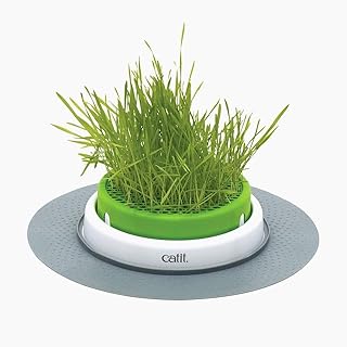 Implant à base de plantes catet senses 2.0 pour chats. Diaytar Côte d'Ivoire est la référence en matière de boutique en ligne en Côte d'Ivoire. Elle propose une large gamme de produits, allant des électroniques aux produits alimentaires, en passant par les vêtements et les accessoires. Les clients peuvent profiter de promotions et de réductions régulières pour faire des économies sur leurs achats.