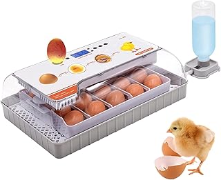 Un incubateur de 20 œufs pour à couver avec rotation automatique des œufs