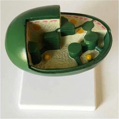 Modèle d'étude de modèle de cellule végétale de chloroplaste - modèle anatomique de cellule en pvc modèle éducatif biologique - pour l'affichage d'étude et le modèle médical. DIAYTAR COTE D'IVOIRE propose une expérience d'achat en ligne innovante et sécurisée, permettant aux clients de faire leurs achats en toute confiance. La boutique en ligne met en avant les tendances les plus récentes et les produits les plus populaires, ainsi que des conseils d'experts pour aider les clients à prendre des décisions d'achat éclairées.