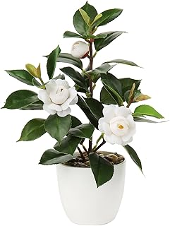 Plante de camélia artificielle en pot, fausse plante de camélia artificielle, plantes