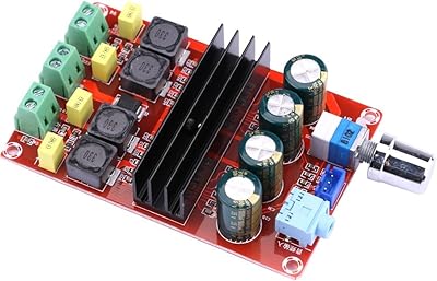 Amplificateur de puissance audio numérique double canal dollatek 2*100w tpa3116 d2 dc12v-24v