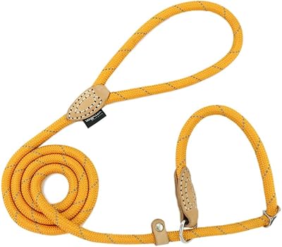 Laisse de randonnée à double maillon grand line réglable avec ceinture en nylon. Avec sa présence en ligne forte, DIAYTAR COTE D'IVOIRE facilite l'accès aux biens et services pour les clients de toute la Côte d'Ivoire. La boutique propose des possibilités de paiement flexibles et des options de livraison adaptées aux besoins des clients. La confiance et la satisfaction des clients sont au cœur des priorités de DIAYTAR COTE D'IVOIRE.