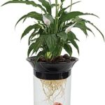 Ensemble de pots de fleurs bean plax natures betta aqua bonix transparent, noir