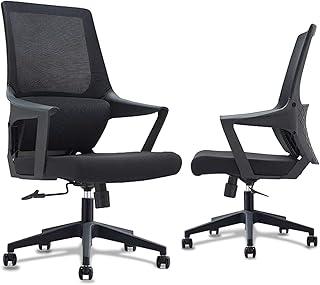 Chaise de bureau avec support lombaire à hauteur réglable, chaise de bureau d'ordinateur