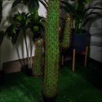 Plante de cactus artificielle yatai d'environ 1,4 m, plante de cactus artificielle