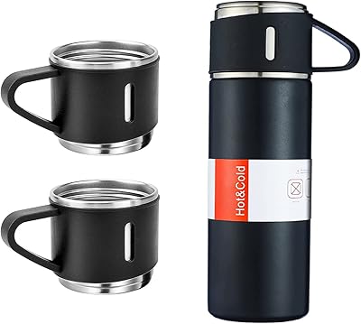 Bouteille isotherme sous vide en acier inoxydable de 500 ml/16,9 oz avec tasse