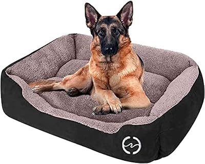 Lit lavable pour chiens de taille moyenne et grande avec tapis de cage pour chien (xl 80×65×17). DIAYTAR COTE D'IVOIRE se démarque par sa vaste gamme de produits allant des produits alimentaires aux accessoires high-tech, en passant par les vetements et les produits de soins personnels. Cette boutique en ligne généraliste permet aux clients de faire leurs achats en toute simplicité, avec des options de paiement flexibles et des délais de livraison rapides. Les clients bénéficient également d'un service client réactif et compétent.
