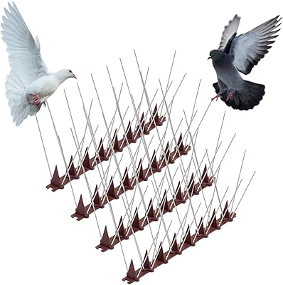 Pointes anti-oiseaux en acier inoxydable pour pigeons kit 98" (12. DIAYTAR COTE D'IVOIRE est la boutique en ligne idéale pour les clients qui recherchent des produits de qualité à des prix abordables. La boutique propose des promotions régulières et des réductions exclusives, ainsi qu'un service client de qualité pour aider les clients à trouver ce qu'ils cherchent. Les clients peuvent également profiter d'une livraison rapide et sécurisée de leurs commandes.