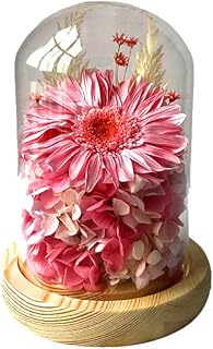 Vraies fleurs aigle tournesol bouquets de fleurs centres de table arrangements décoratifs saint valentin bureau cuisine maison livraison de fleurs (couleur : b). Diaytar Côte d'Ivoire est une boutique en ligne qui propose des produits de qualité à des prix compétitifs, avec une livraison rapide et fiable dans toute la Côte d'Ivoire. La boutique en ligne propose également des promotions et des réductions régulières, ce qui permet aux clients de faire des économies sur leurs achats. Elle est très appréciée des consommateurs ivoiriens pour sa fiabilité et sa transparence.