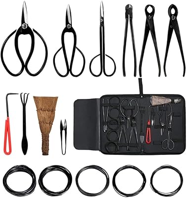 Outils et fournitures pour bonsaï, ensemble de 10 cisailles à arbres d'intérieur