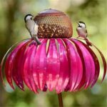 Mangeoire à oiseaux en forme de fleur de colibri décoration de jardin l'épreuve