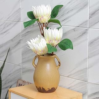 Yatai vase en céramique moderne rustique marron blanc noir, vase à fleurs en porcelaine au design moderne pour la maison, l'arrangement de l'étagère, l'entrée, la décoration de la table centrale (marron). Diaytar Côte d'Ivoire est une boutique en ligne généraliste proposant plus de 300 000 références, faisant d'elle le leader du marché ivoirien. Elle offre une large gamme de produits allant de l'électronique à la mode, en passant par les produits alimentaires. Le site est conçu pour offrir une expérience d'achat unique et personnalisée à ses clients.