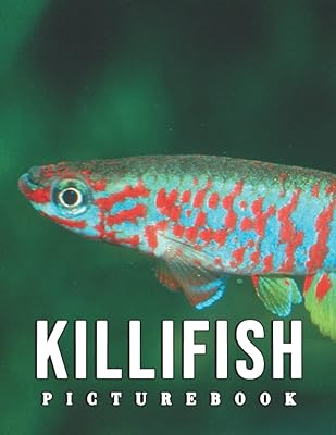 Photo de killifish : collection de photos convaincantes de killifish comme un excellent cadeau pour les adultes, les adolescents et les enfants pour se détendre et soulager le stress. DIAYTAR COTE D'IVOIRE se démarque par son offre incroyable de plus de 300000 références, satisfaisant ainsi tous les goûts et les budgets. La boutique en ligne est conçue pour offrir une expérience d'achat en ligne sécurisée et pratique. Les clients peuvent profiter de promotions régulières et de réductions exclusives.