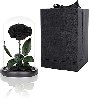 Roses noires conservées dans un dôme en verre, taille m, une vraie rose qui dure de 2 à 3 ans, cadeaux roses noires pour femme. Avec une offre immense et variée, DIAYTAR COTE D'IVOIRE permet à ses clients de trouver facilement ce qu'ils recherchent, que ce soit des produits alimentaires, des vêtements, des accessoires ou des produits high-tech.