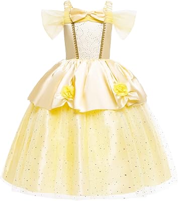 Robe de princesse pour bébés filles, déguisement d'hôtesse, jupe brodée fantaisie 5 couches
